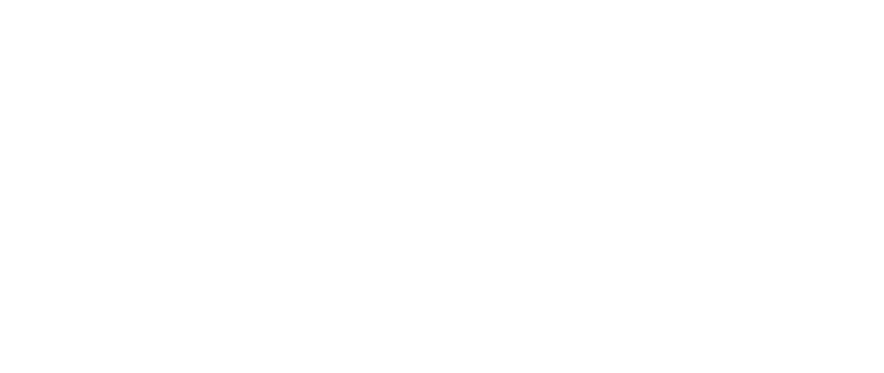 国外翻回国VPN - 海龟伴侣